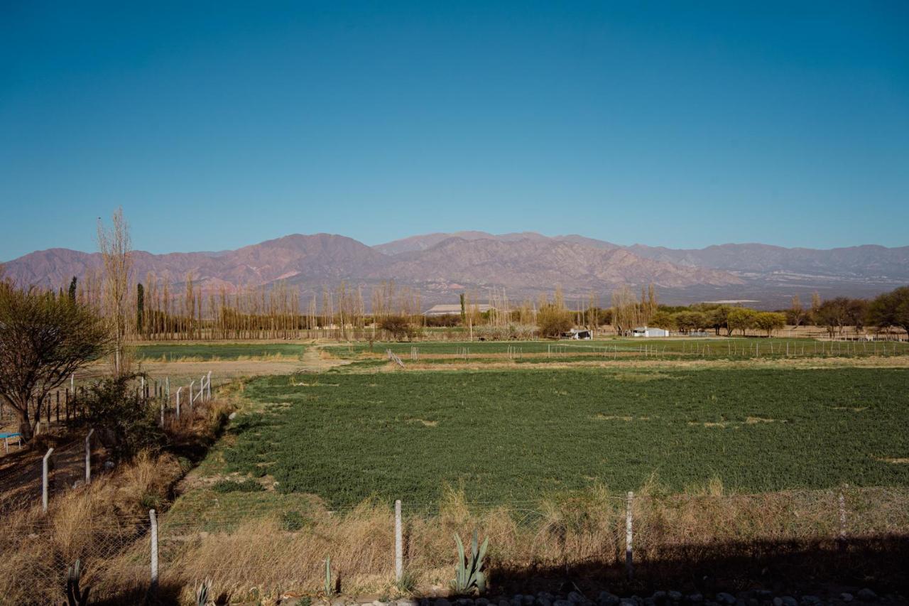 Luna De Cafayate Hotel Boutique Kültér fotó