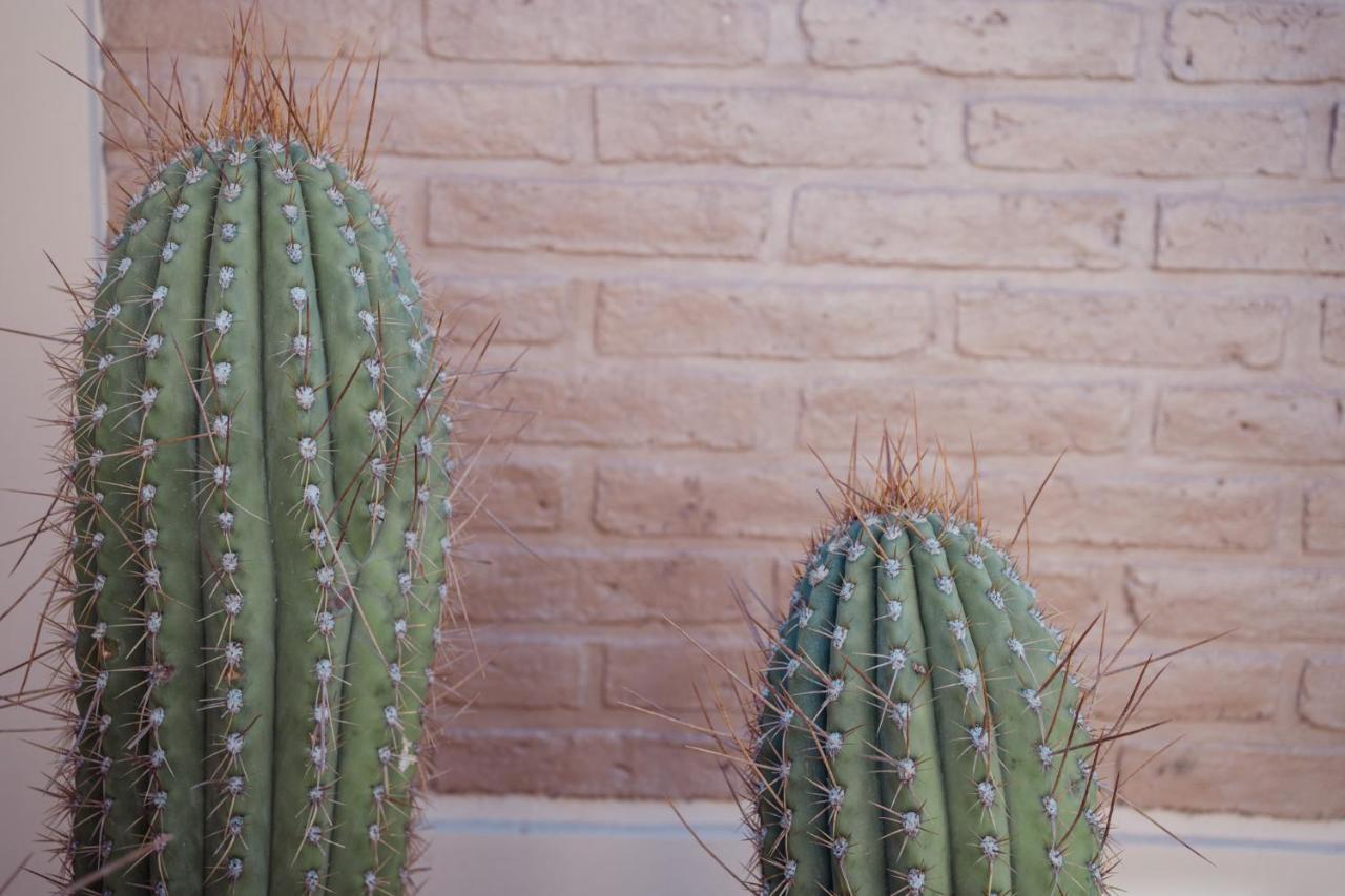 Luna De Cafayate Hotel Boutique Kültér fotó