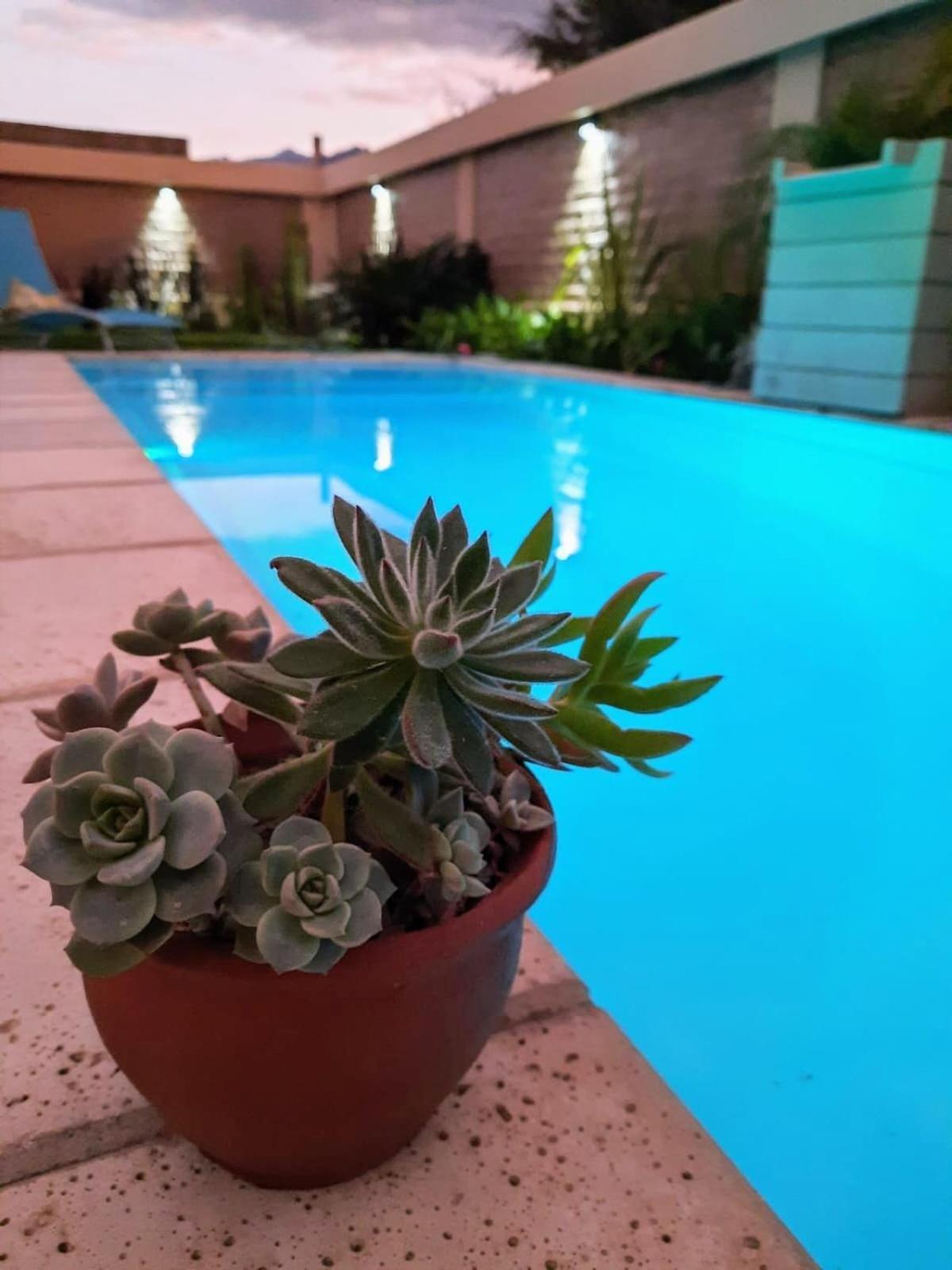 Luna De Cafayate Hotel Boutique Kültér fotó